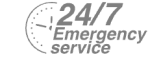 24/7 Emergency Service Pest Control in Kilburn, Queens Park, West Hampstead, NW6. Call Now! 020 8166 9746