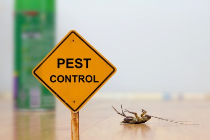 Pest Contol in Kilburn, Queens Park, West Hampstead, NW6. Call Now 020 8166 9746